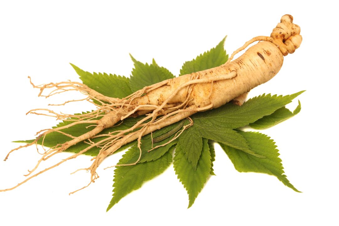 ginseng - Alfazone bileşiminin bir unsuru